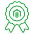 65+ Certified Magento Experts