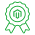 100+ Magento Certified Experts